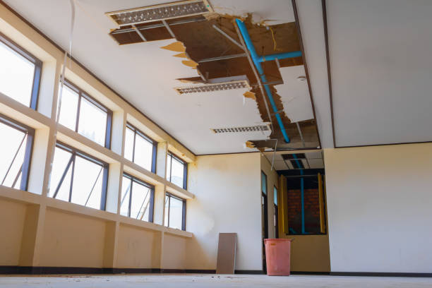Best Water damage cleanup near me  in New Concord, OH