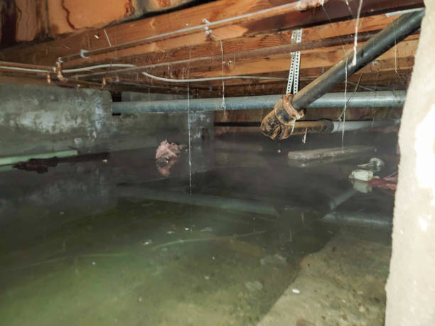 Best Ceiling water damage repair  in New Concord, OH