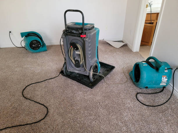 Best Flood restoration services  in New Concord, OH