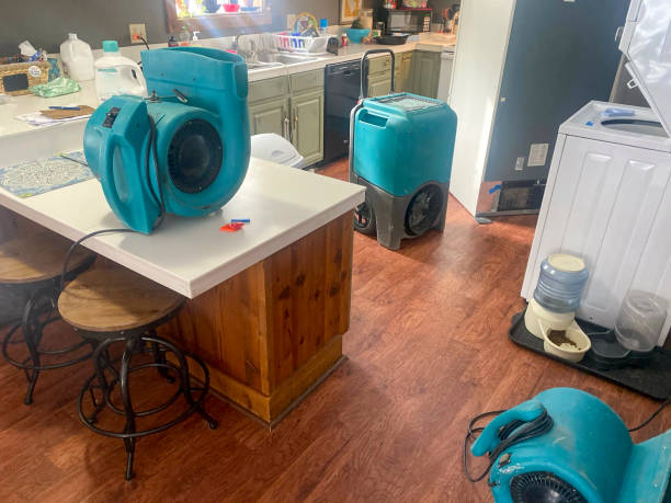 Best Commercial water damage restoration  in New Concord, OH