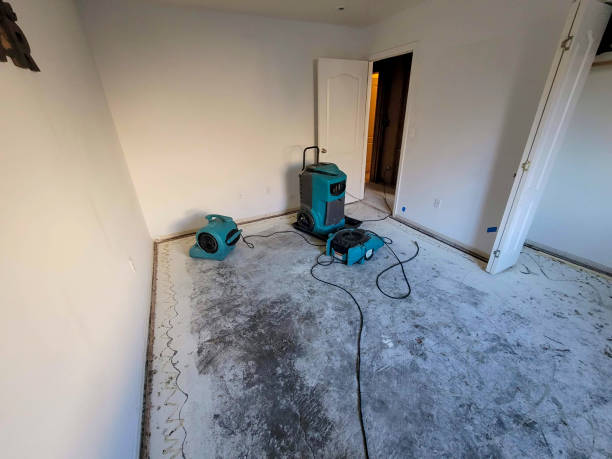 Best Residential water damage restoration  in New Concord, OH