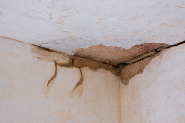 Best Flooded house restoration  in New Concord, OH