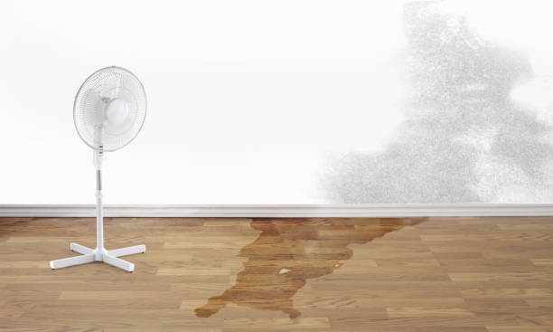 Best Water damage contractors near me  in New Concord, OH