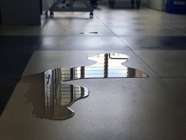 Best Commercial water damage restoration  in New Concord, OH