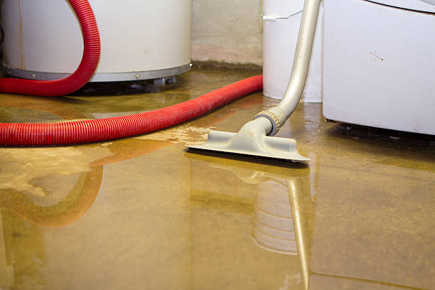 Best Fire Damage Restoration  in New Concord, OH