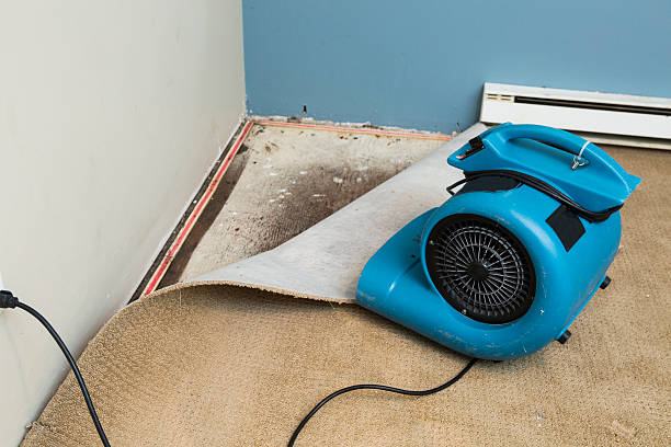 Best Carpet water damage restoration  in New Concord, OH