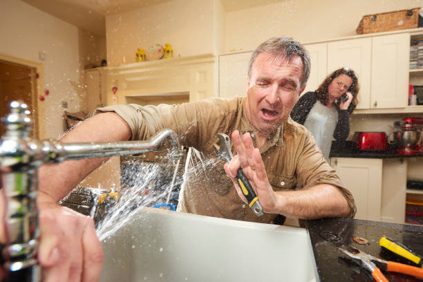 Best Mold removal after water damage  in New Concord, OH